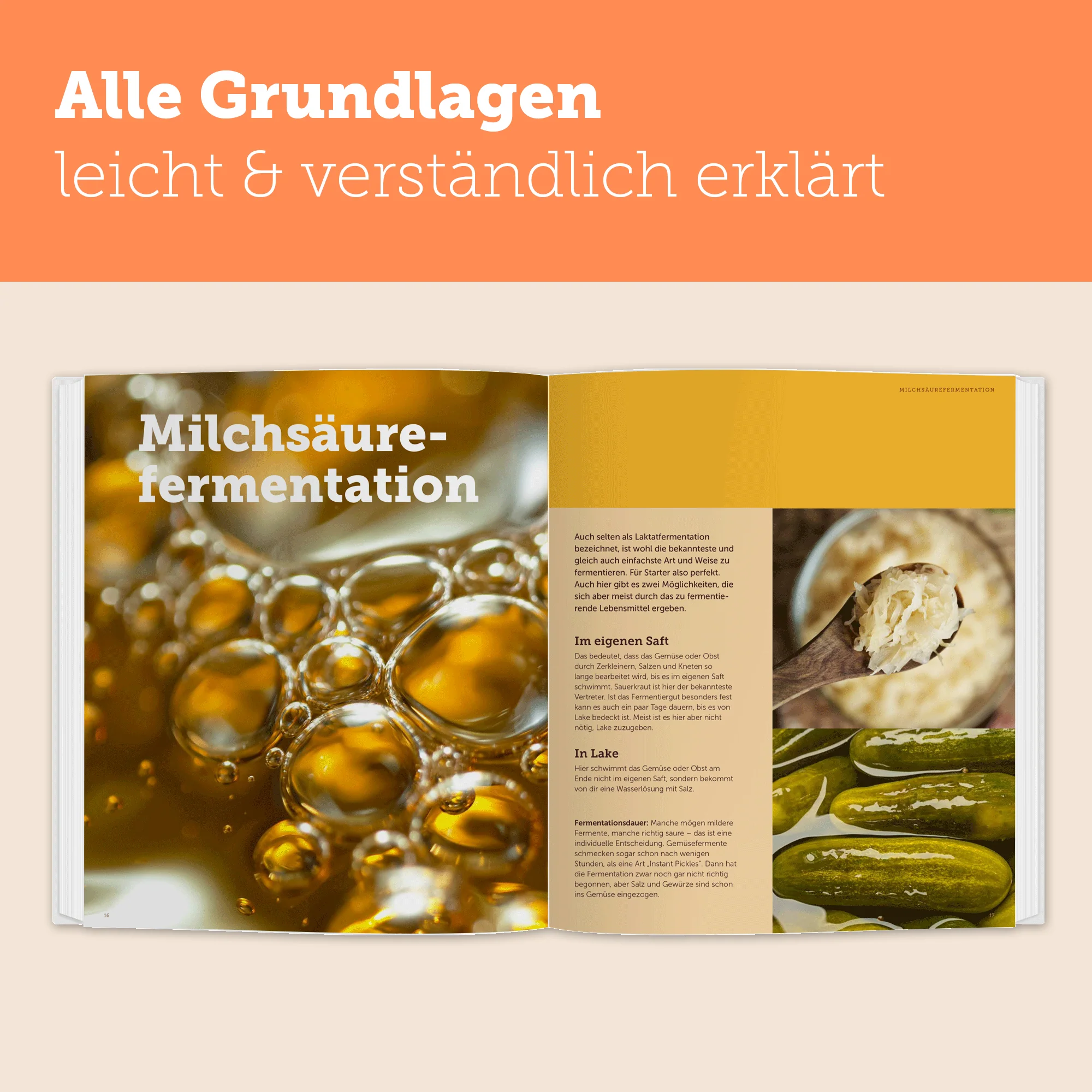 Natürlich Fermentieren | Anleitungen und kreative Rezepte für Gemüse, Obst, Limonaden, Bier und Sauerteig - Image 3