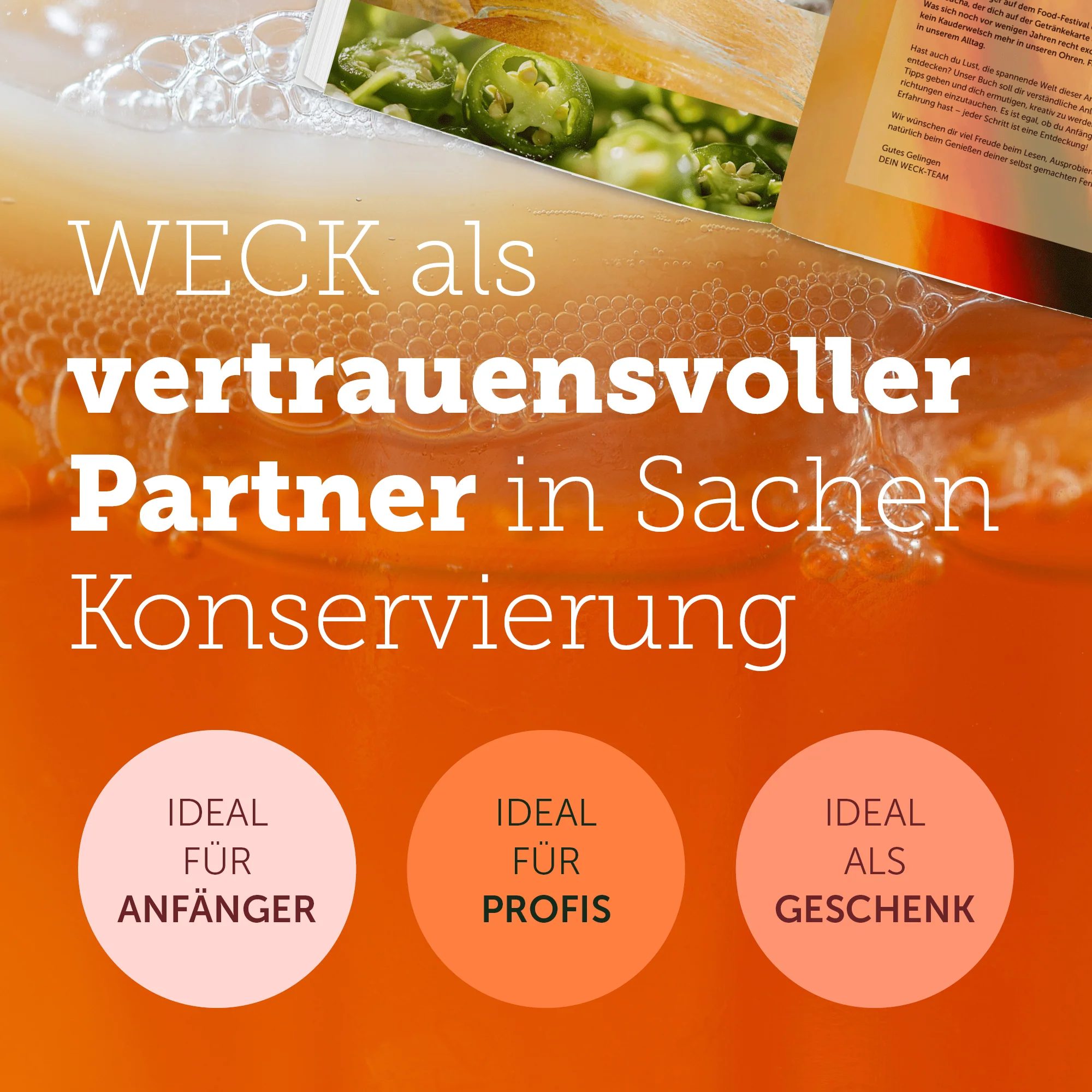 Natürlich Fermentieren | Anleitungen und kreative Rezepte für Gemüse, Obst, Limonaden, Bier und Sauerteig - Image 4