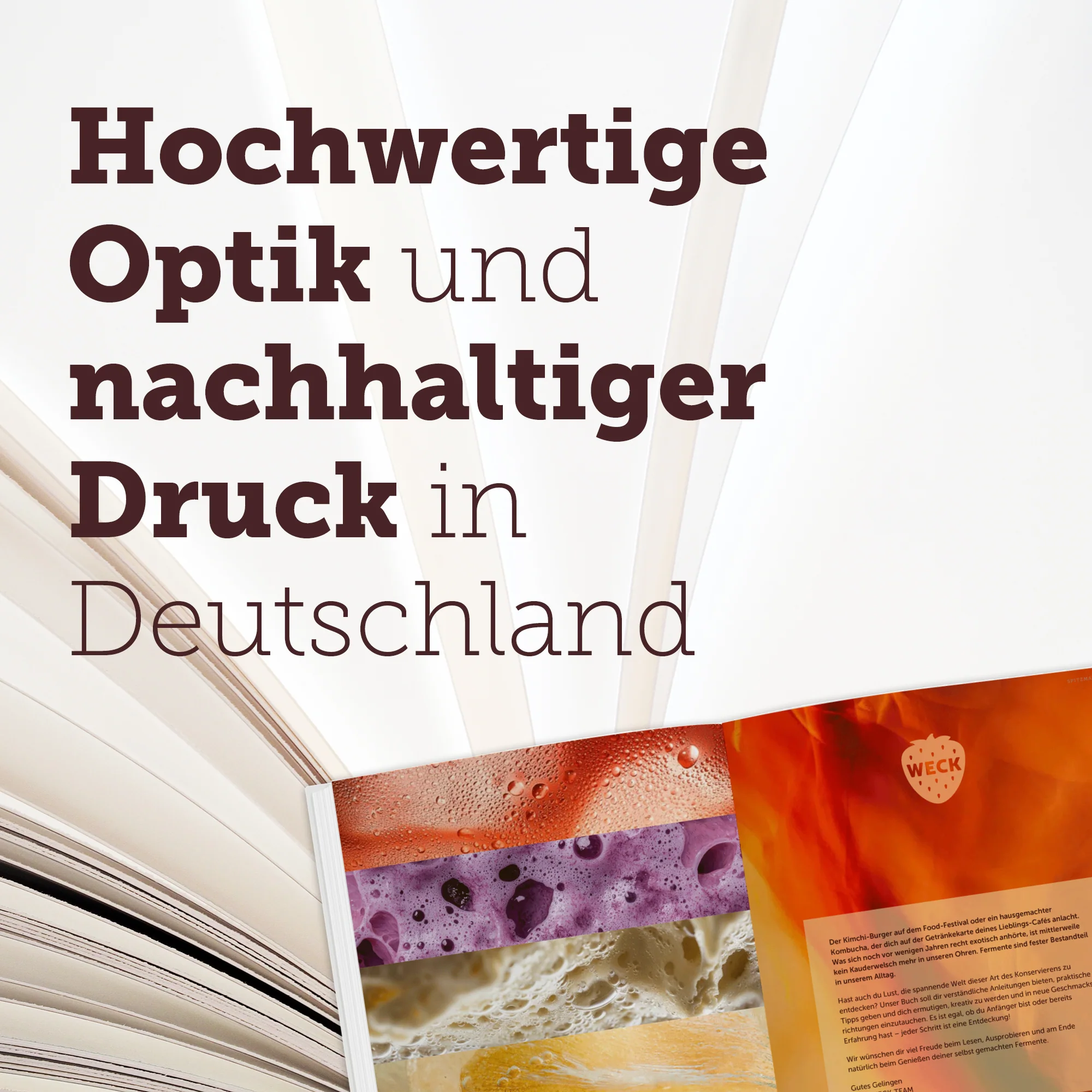 Natürlich Fermentieren | Anleitungen und kreative Rezepte für Gemüse, Obst, Limonaden, Bier und Sauerteig - Image 7